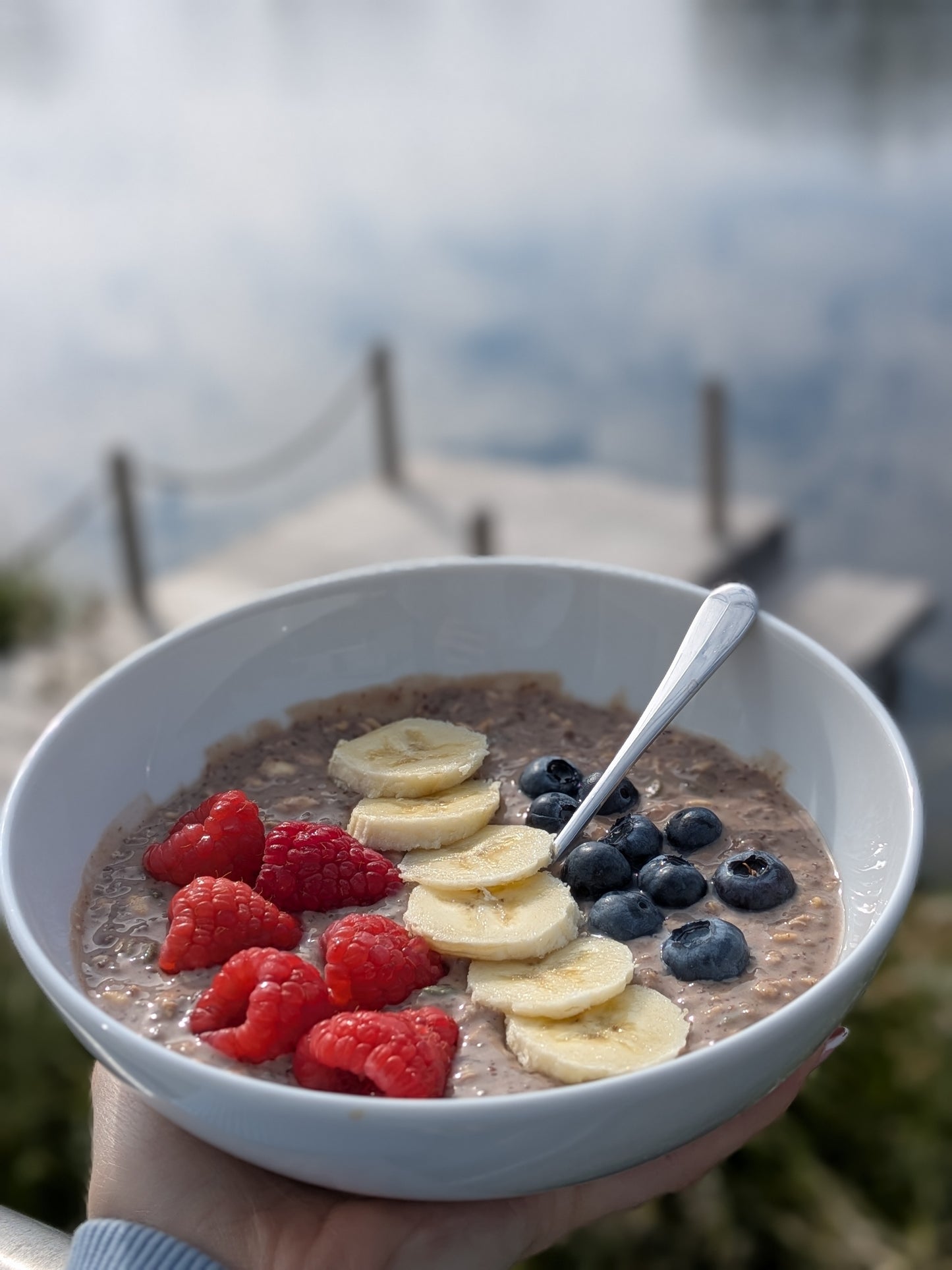 Chocolate Chip Overnight Oats
